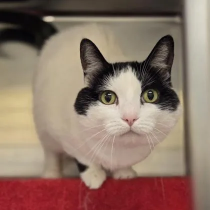 Precious thumbnail 3