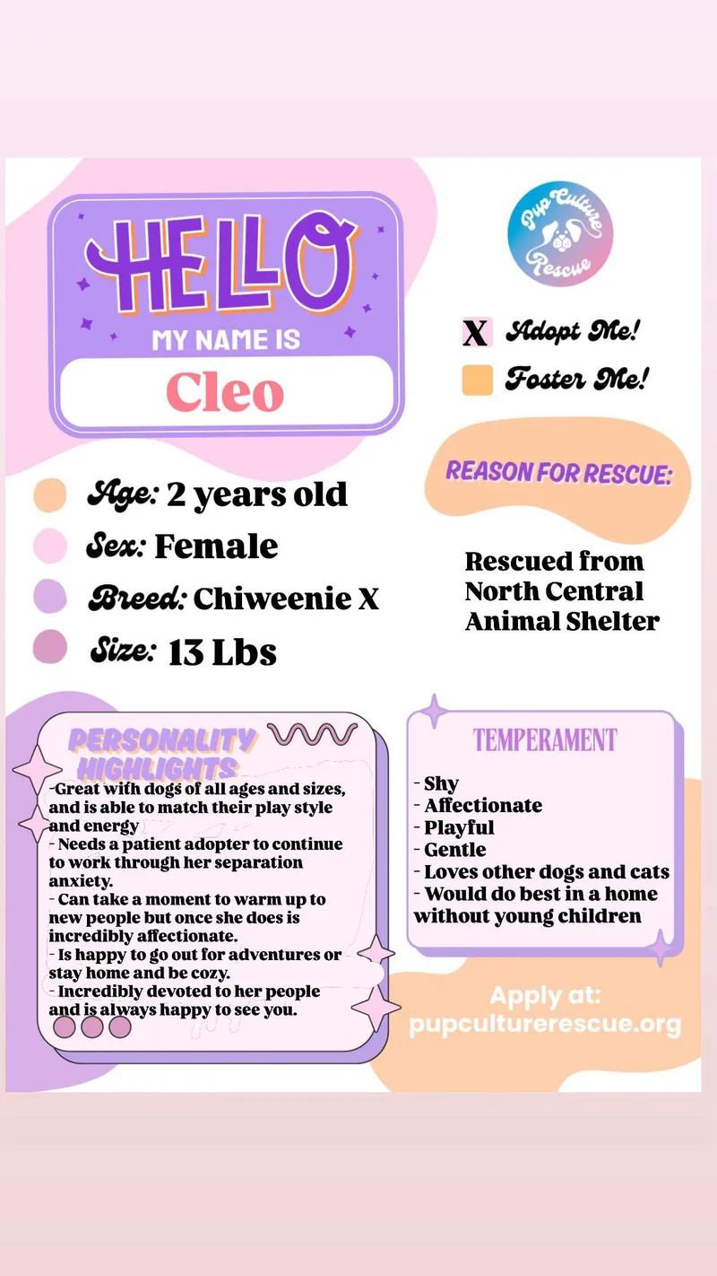 Cleo thumbnail 2