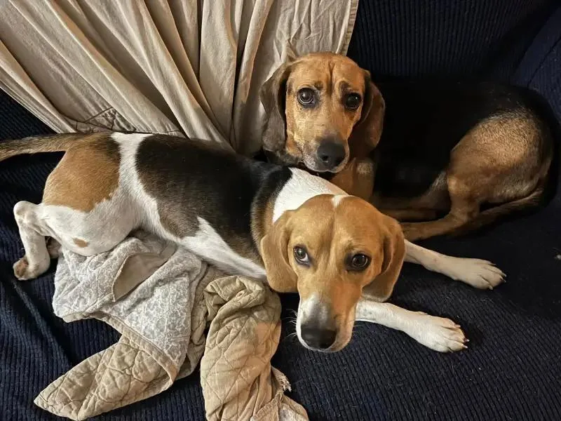 Grover Onslow thumbnail 2