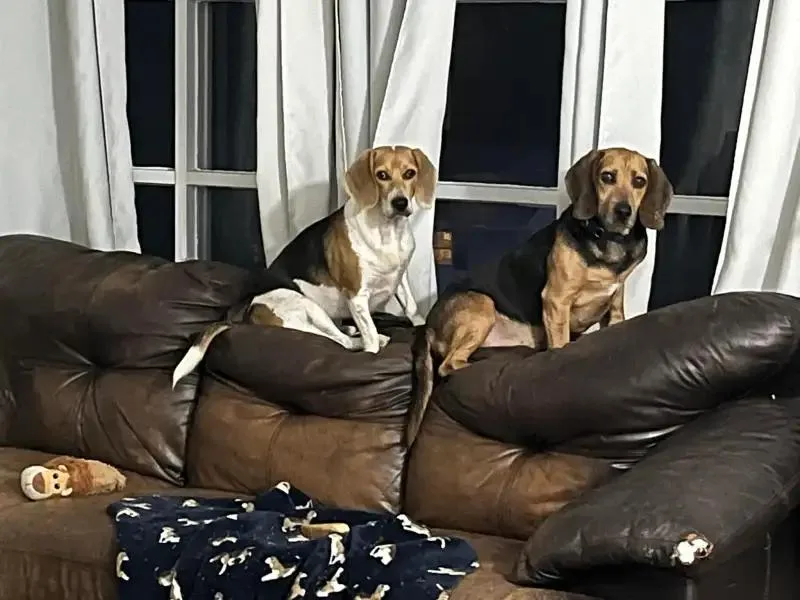 Grover Onslow thumbnail 3