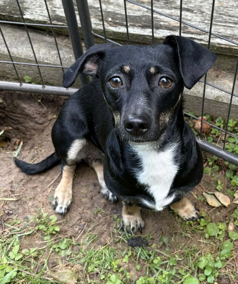 Luna B In La thumbnail 2