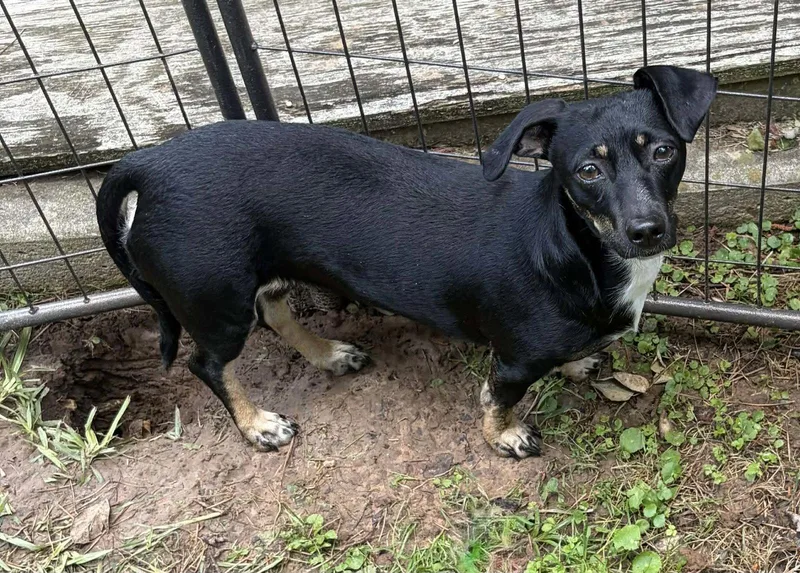 Luna B In La thumbnail 3