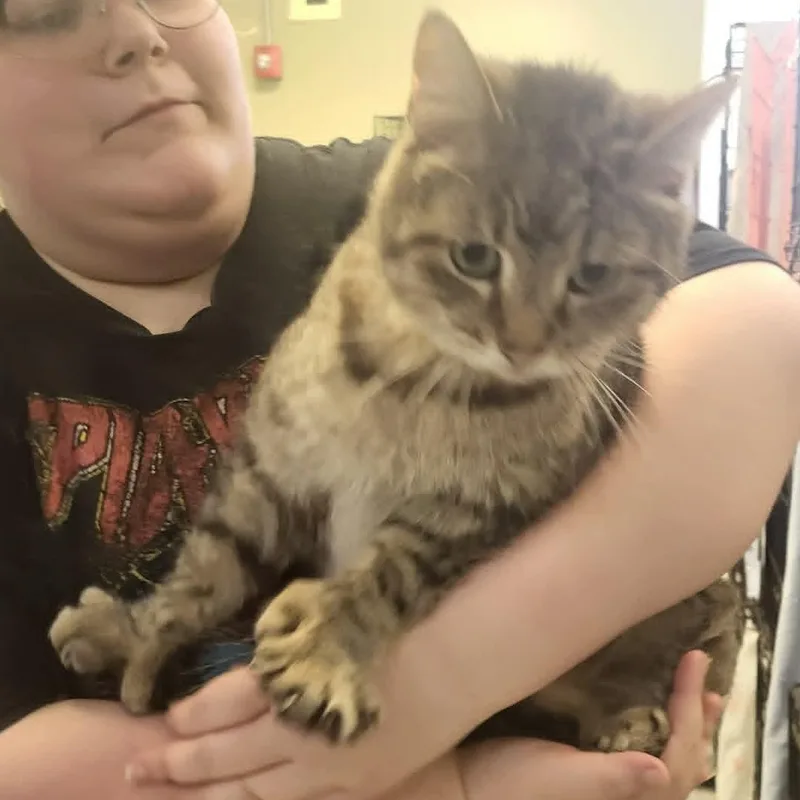 Carter  Double Polydactyl