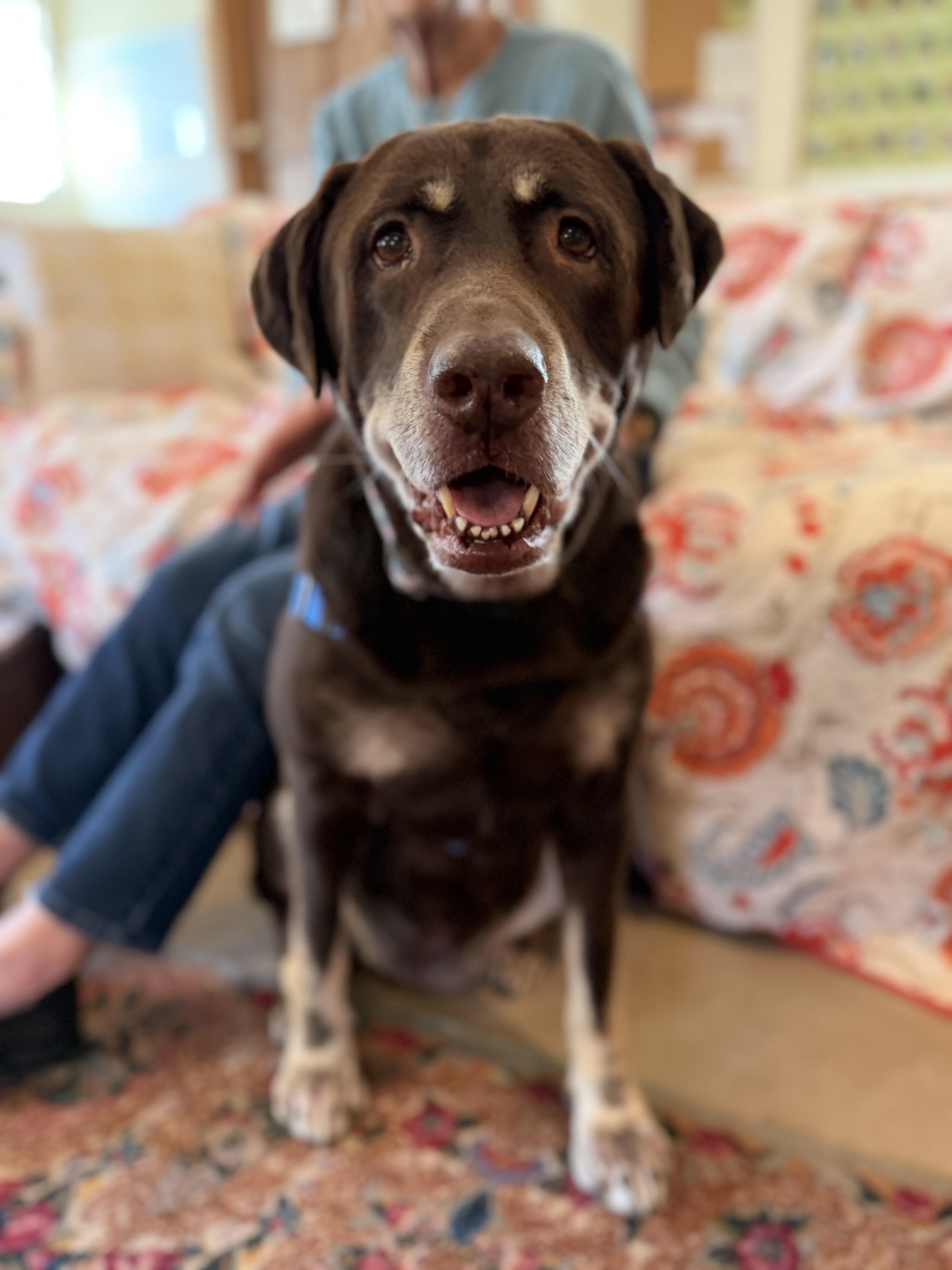 Bella