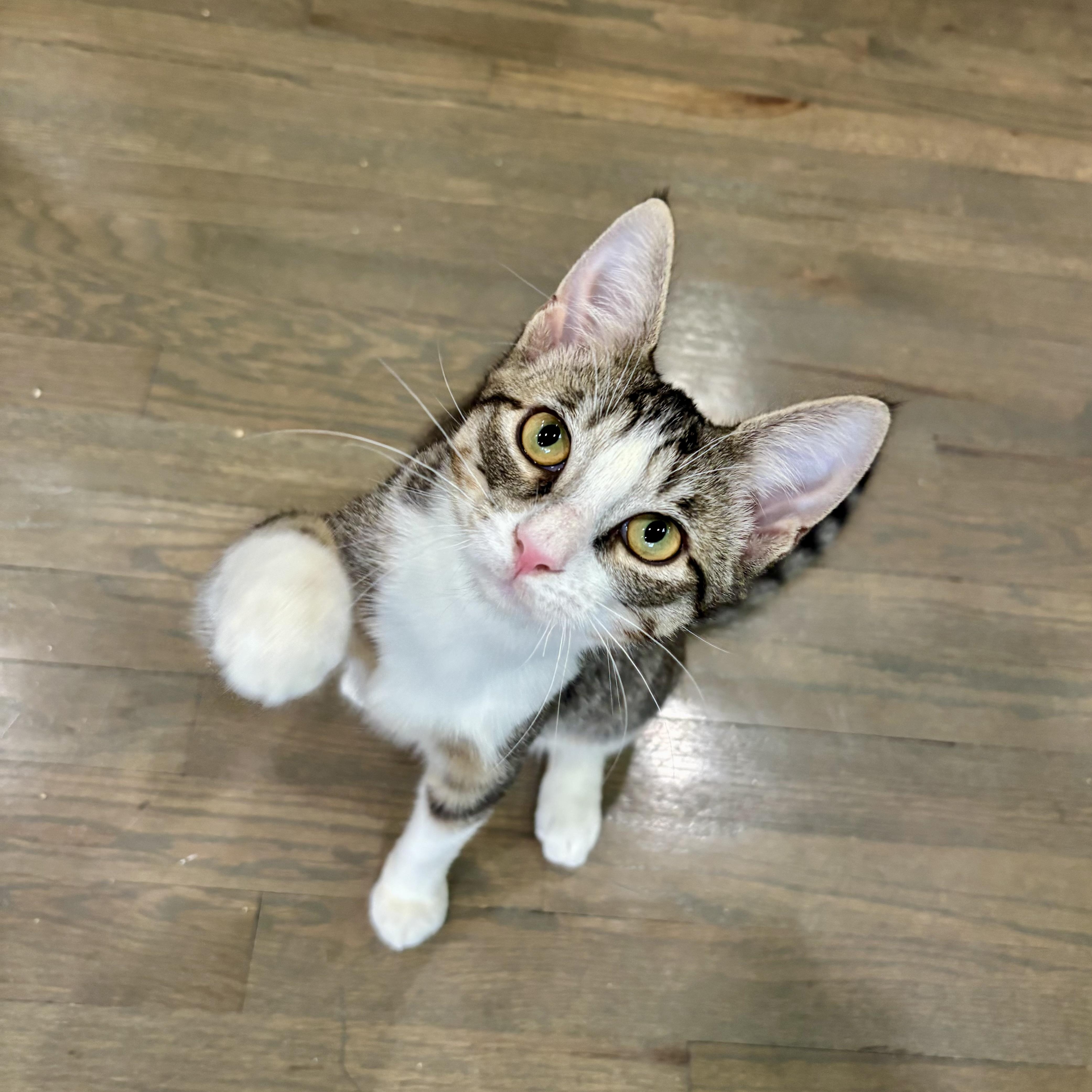 Blossom& Sprout thumbnail 3