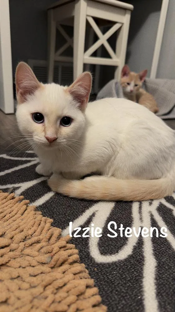 Izzie Stevens thumbnail 2