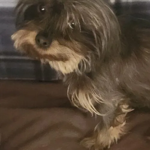 Tilly