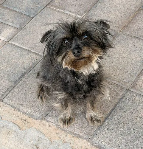 Tilly thumbnail 3