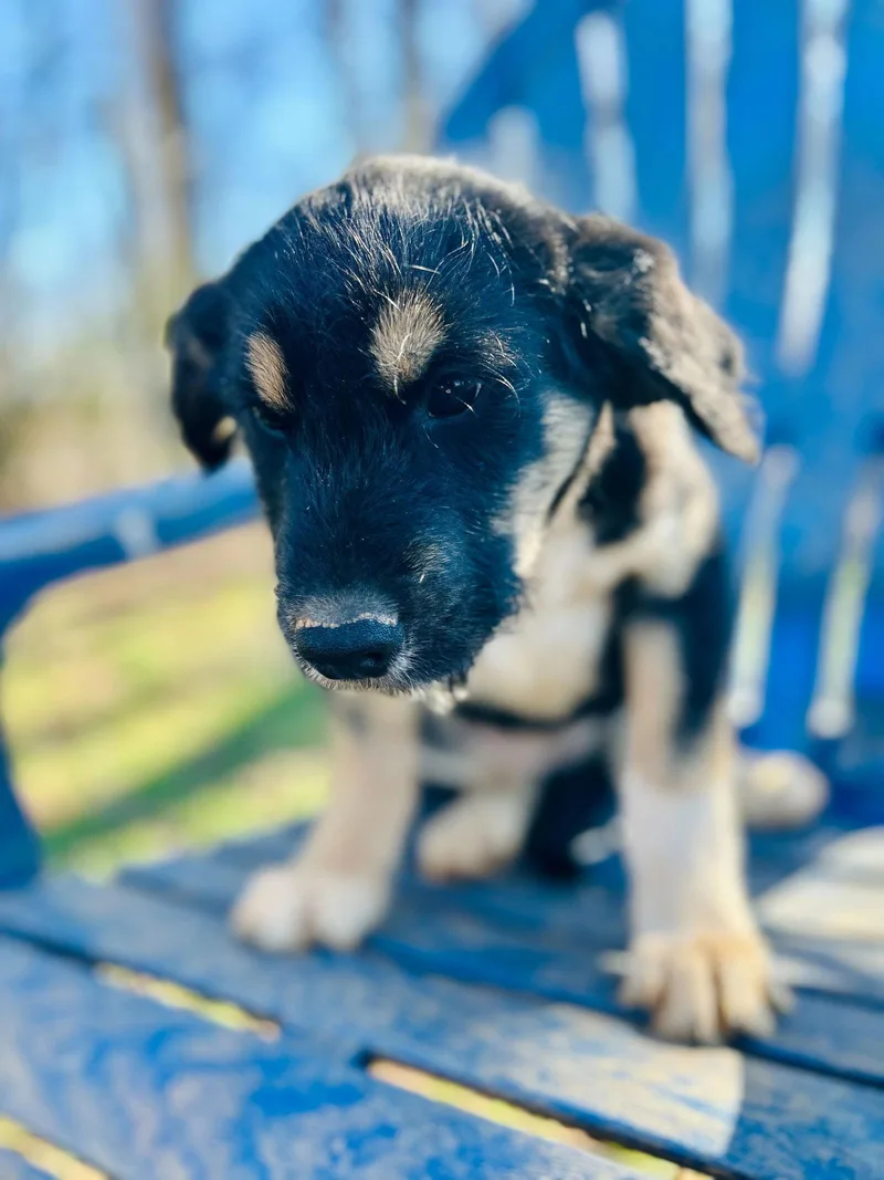 Kia Oct   thumbnail 2