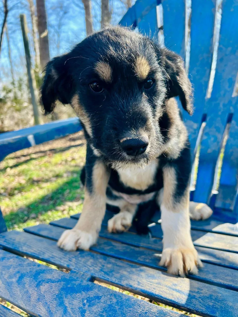 Kia Oct   thumbnail 3