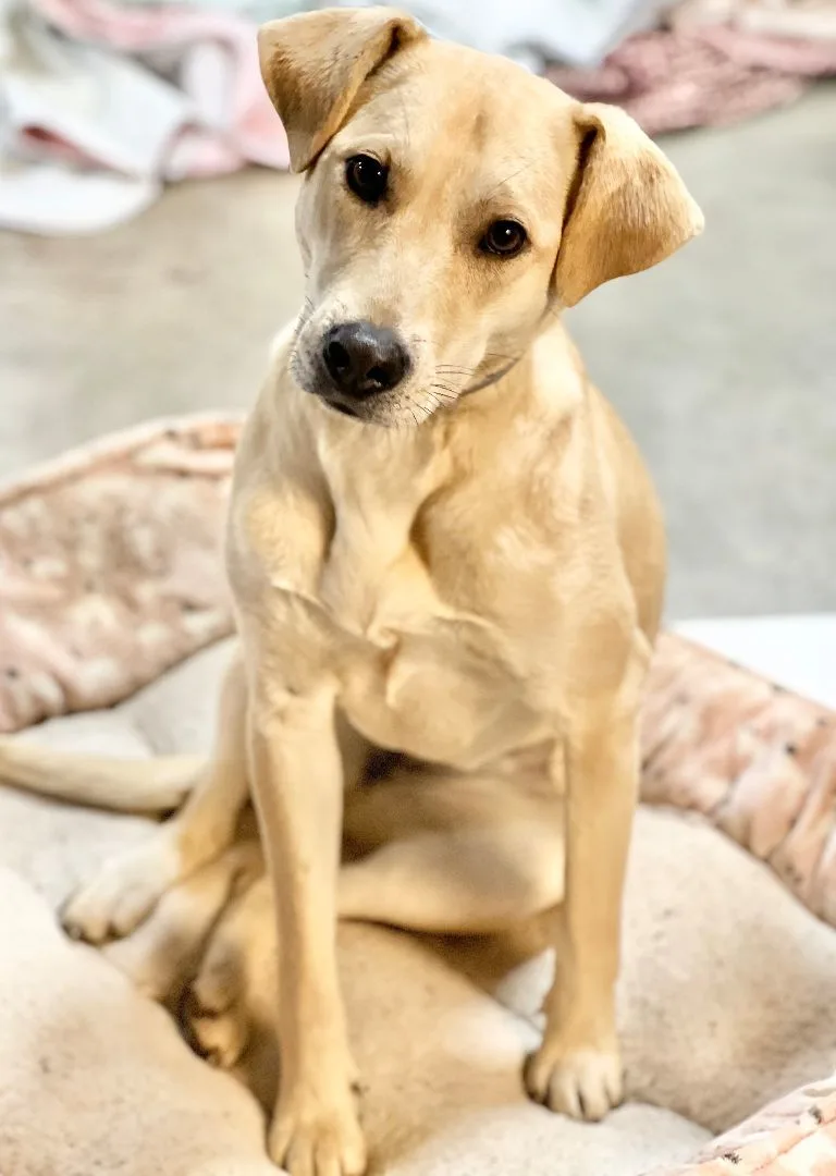 Jackie Jackson thumbnail 2