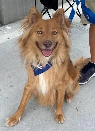 Macchiato thumbnail 5