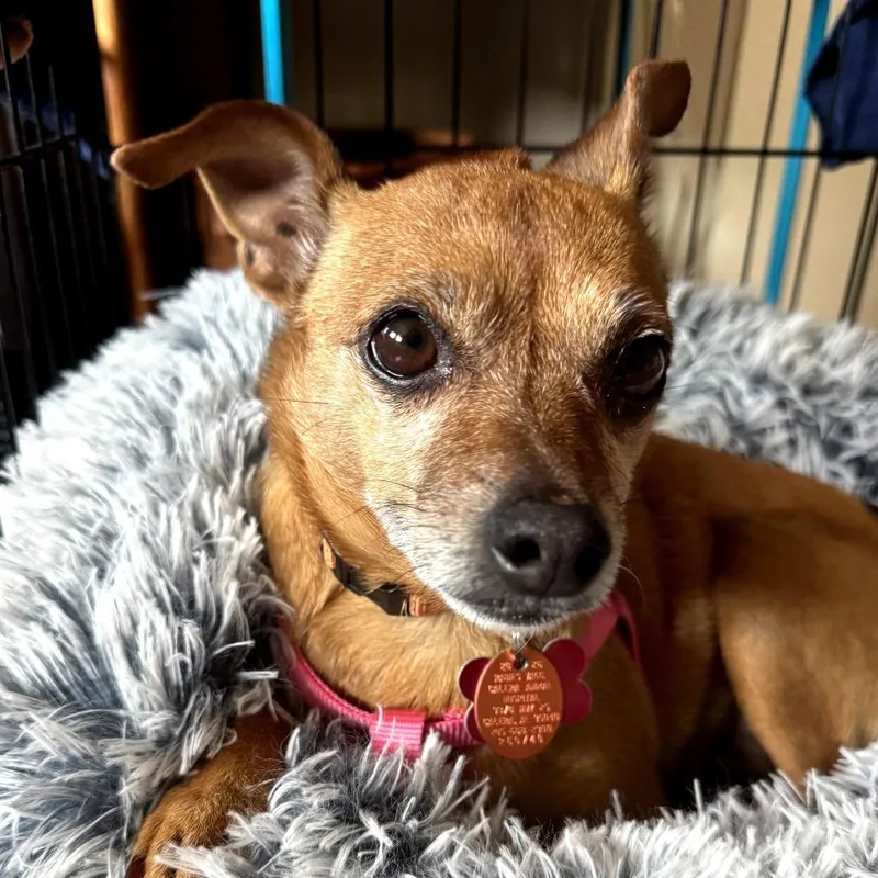 Chloe