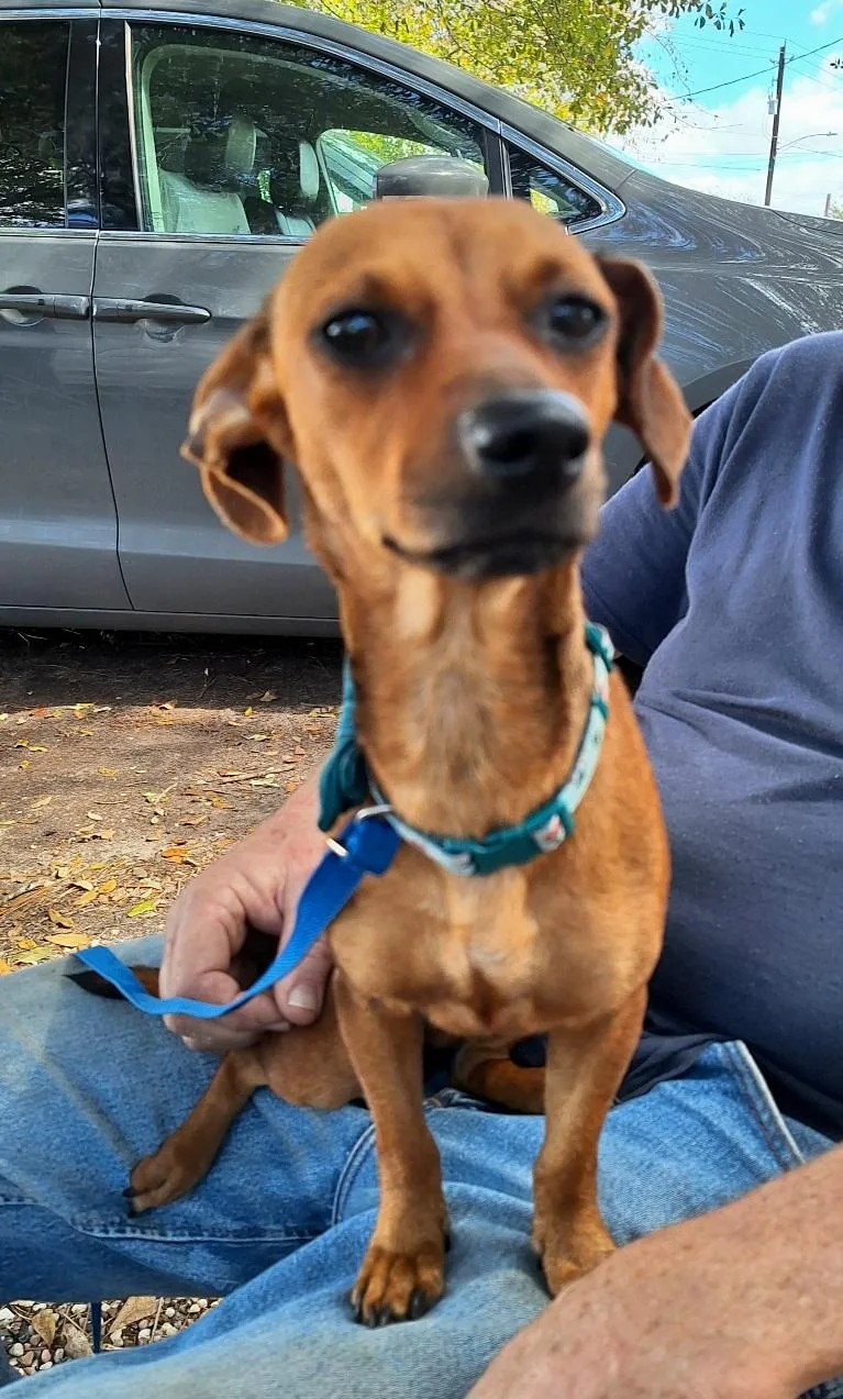 Elonna Orthw thumbnail 3