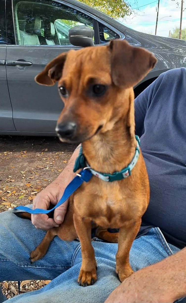 Elonna Orthw thumbnail 6