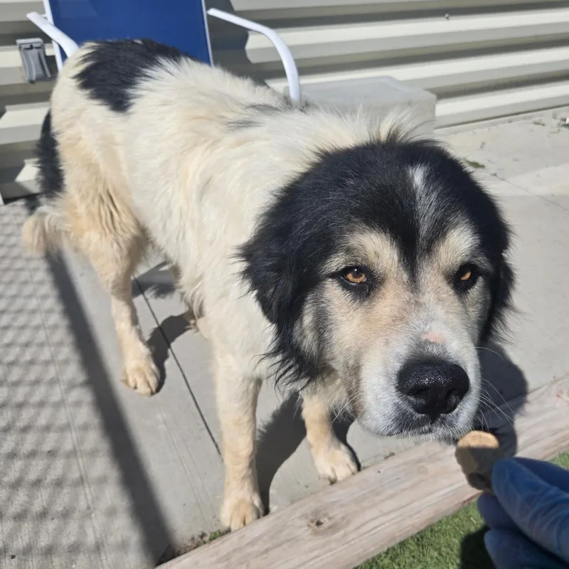 Lcludwig thumbnail 2