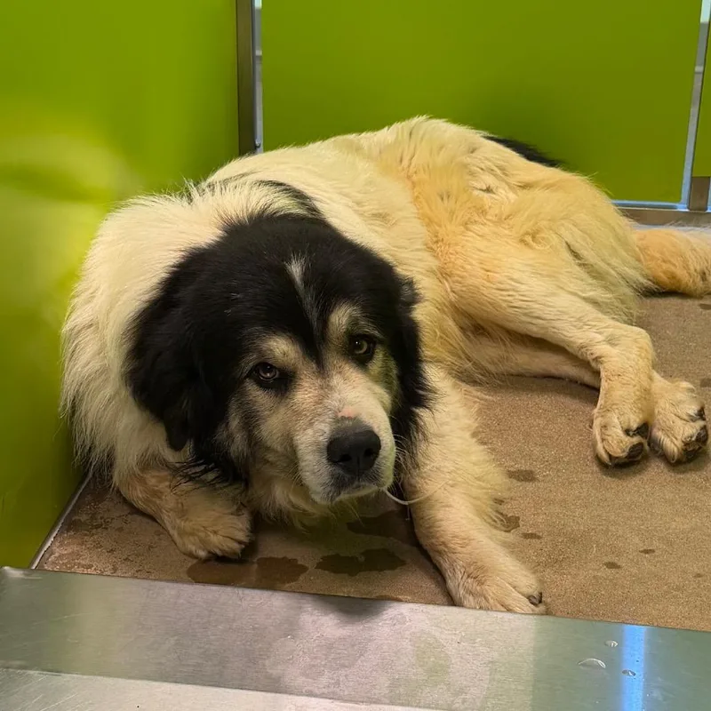 Lcludwig thumbnail 3