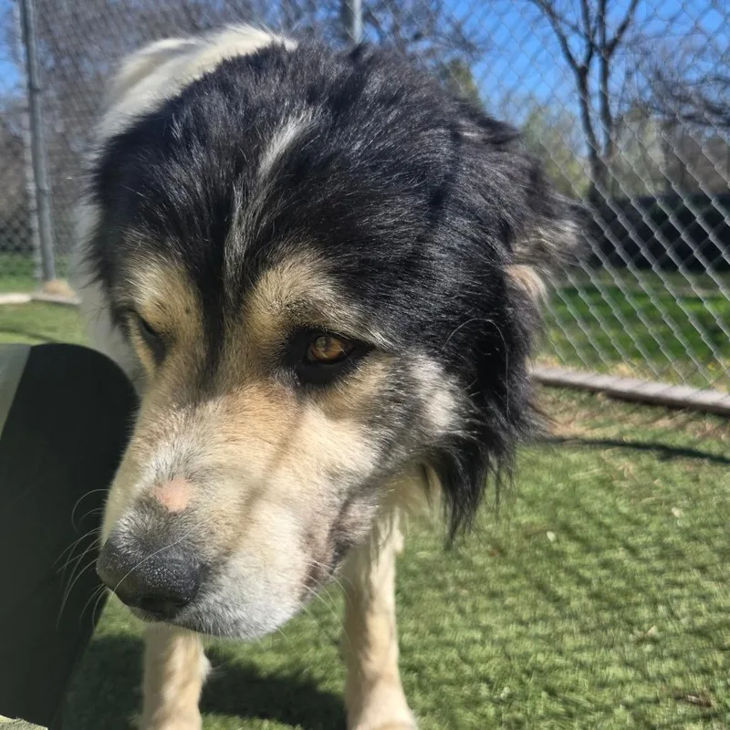 Lcludwig thumbnail 5