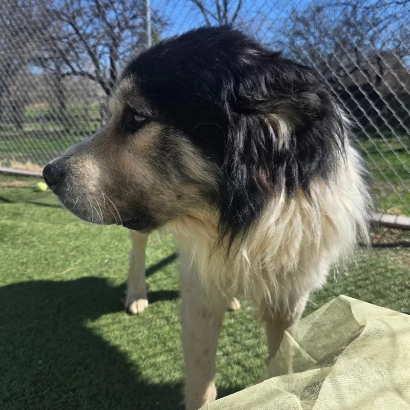 Lcludwig thumbnail 6