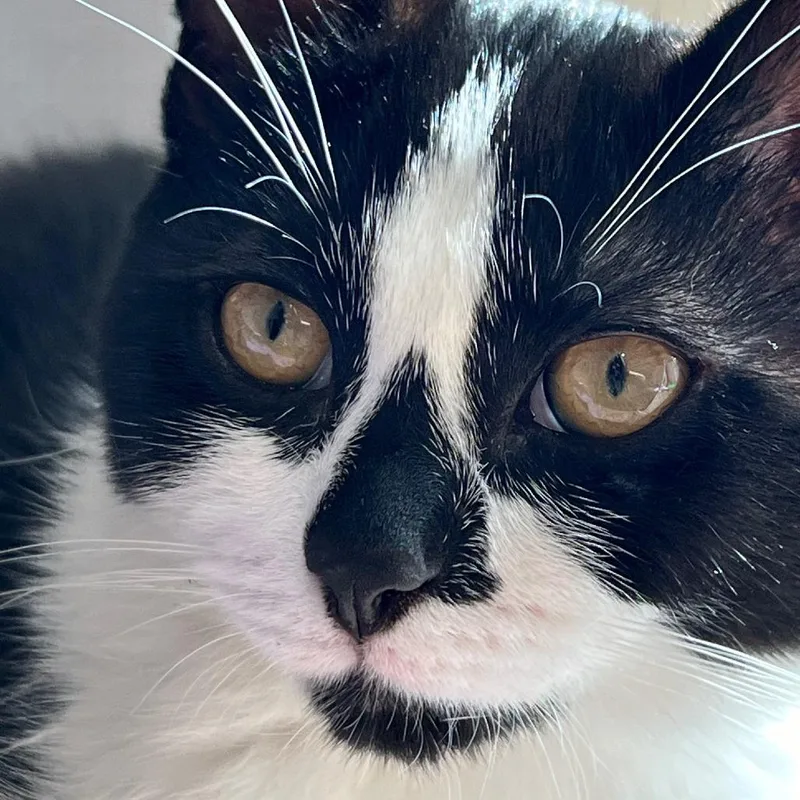 Diamond  Home To thumbnail 2