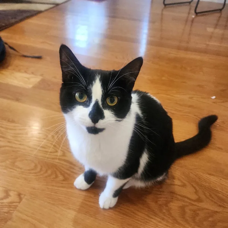 Diamond  Home To thumbnail 3