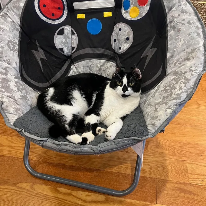 Diamond  Home To thumbnail 4