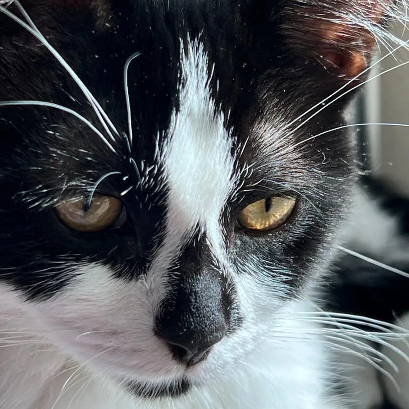 Diamond  Home To thumbnail 5