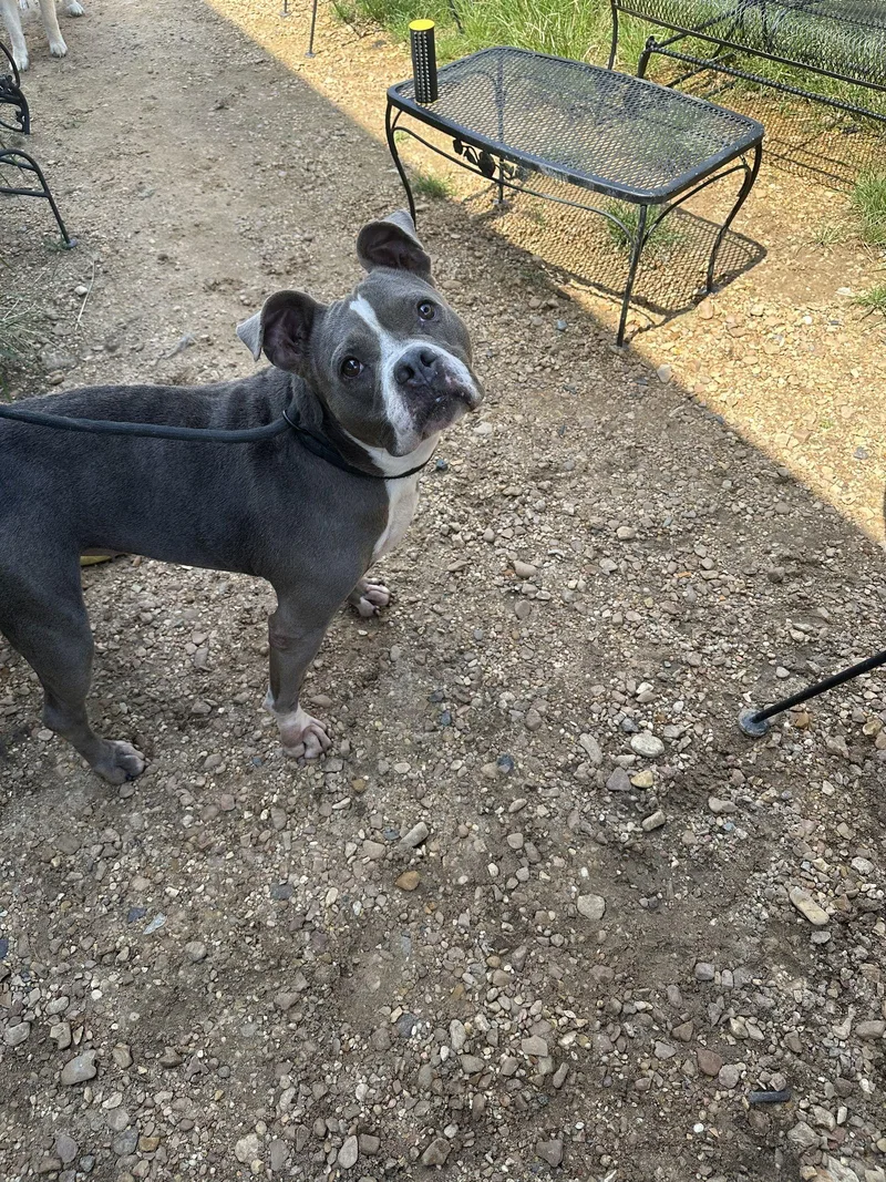 Mercy Grace thumbnail 2