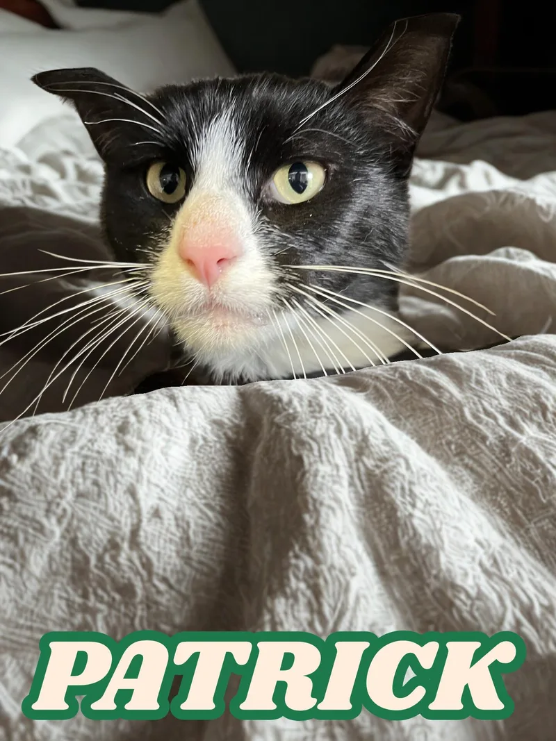 Patrick