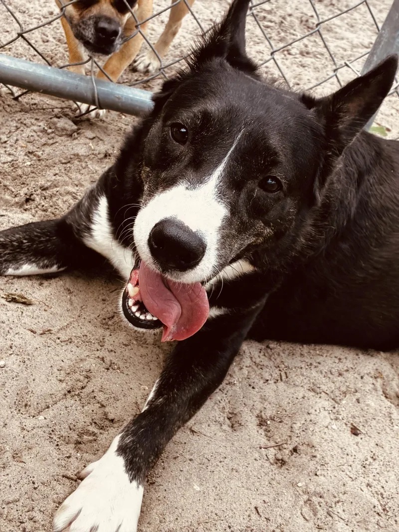 Ladybird thumbnail 3