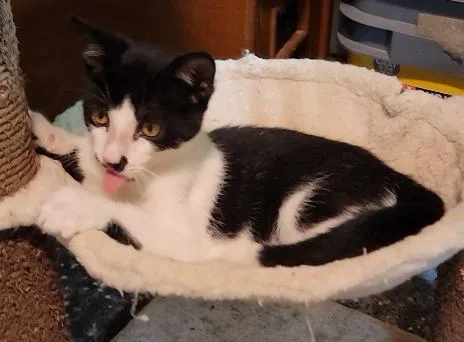 Burt thumbnail 3