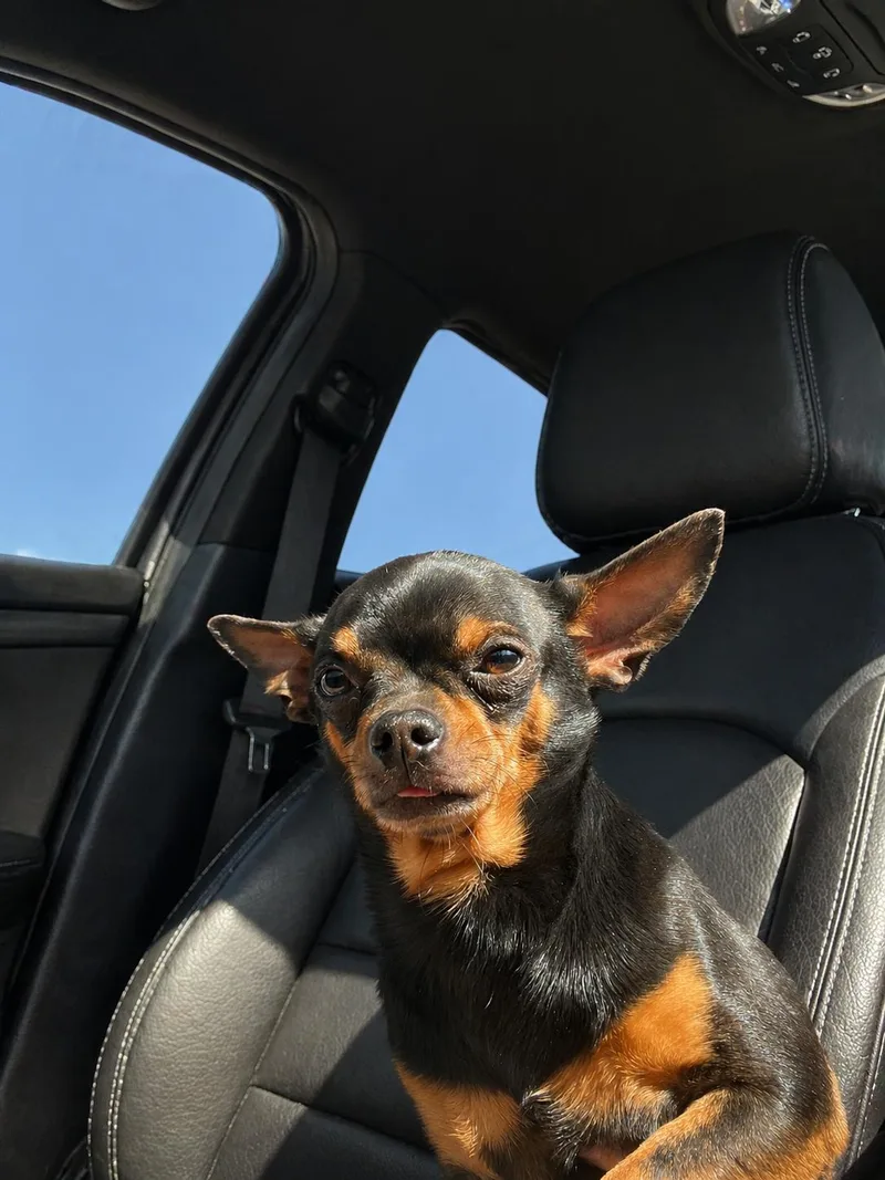 Milo