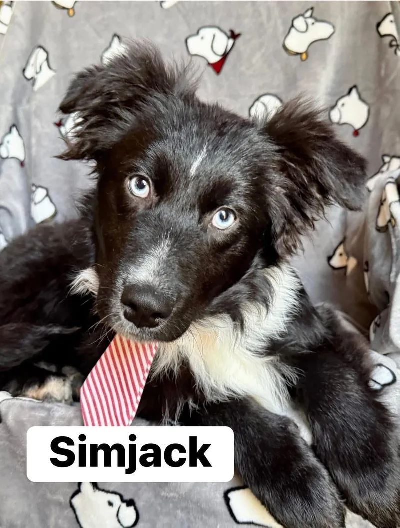 Slimjack