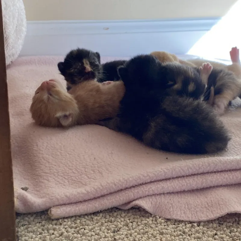 Martha thumbnail 6