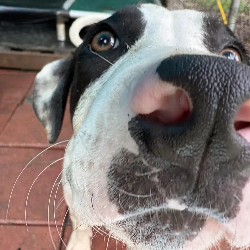 Fleetwood thumbnail 2