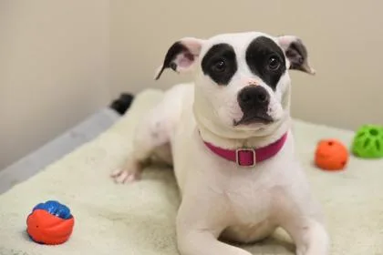 Cheyanne thumbnail 2