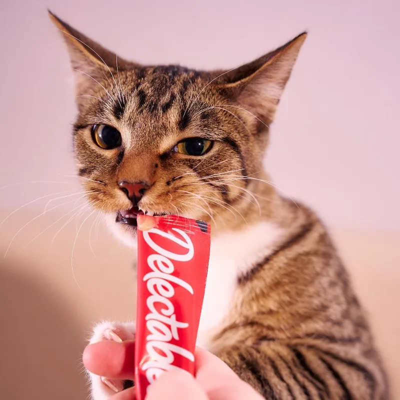 Purrlock O'holmes thumbnail 2