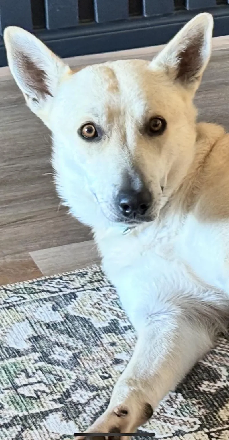 Lucy Lou thumbnail 2