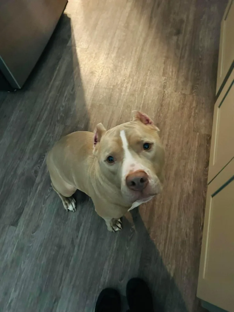 Cesar  Cl thumbnail 2