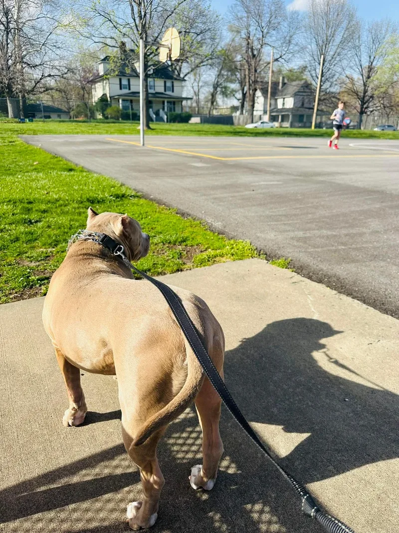 Cesar  Cl thumbnail 3