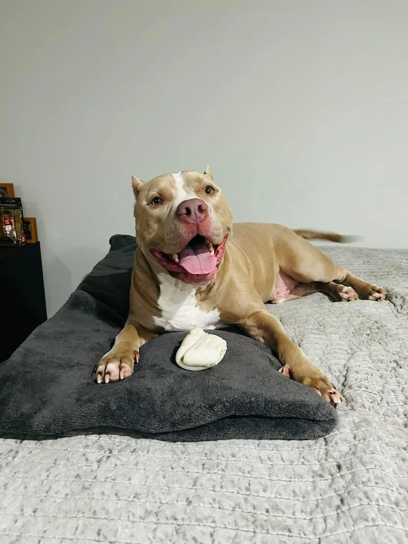 Cesar  Cl thumbnail 4