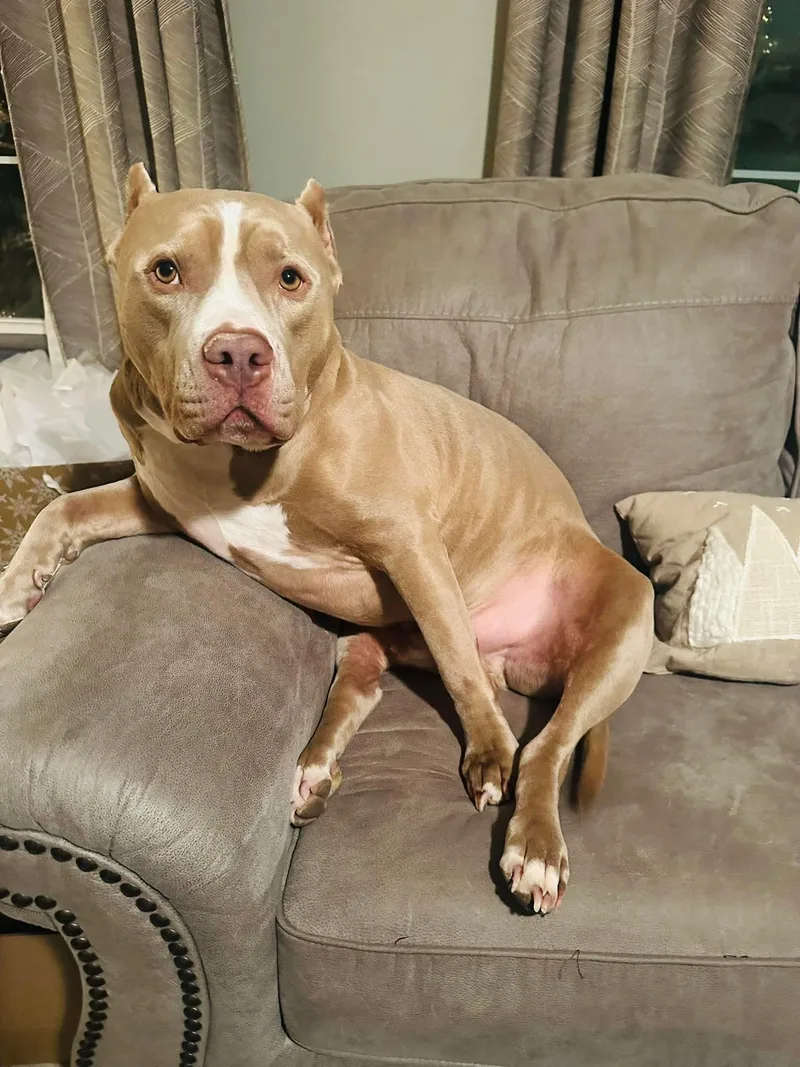 Cesar  Cl thumbnail 6