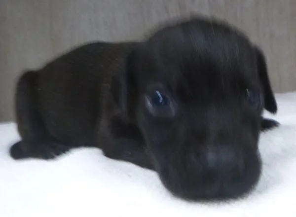 Tony thumbnail 2