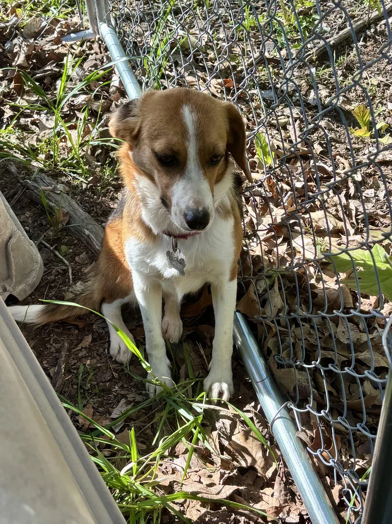 Letty Bea thumbnail 2