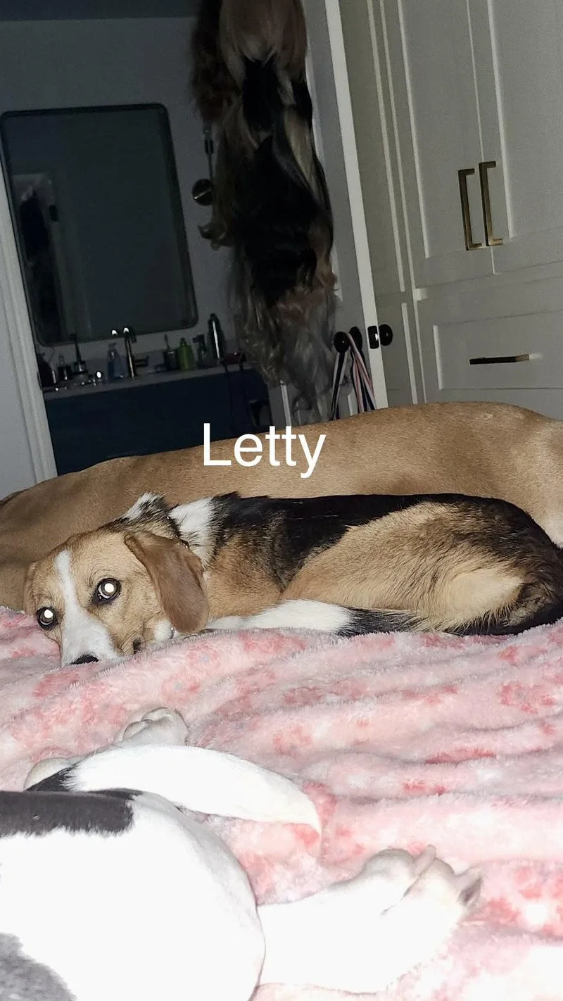 Letty Bea thumbnail 3