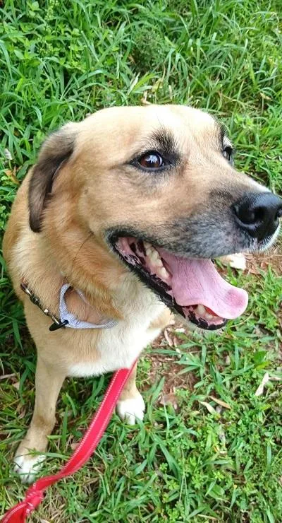 Rusty