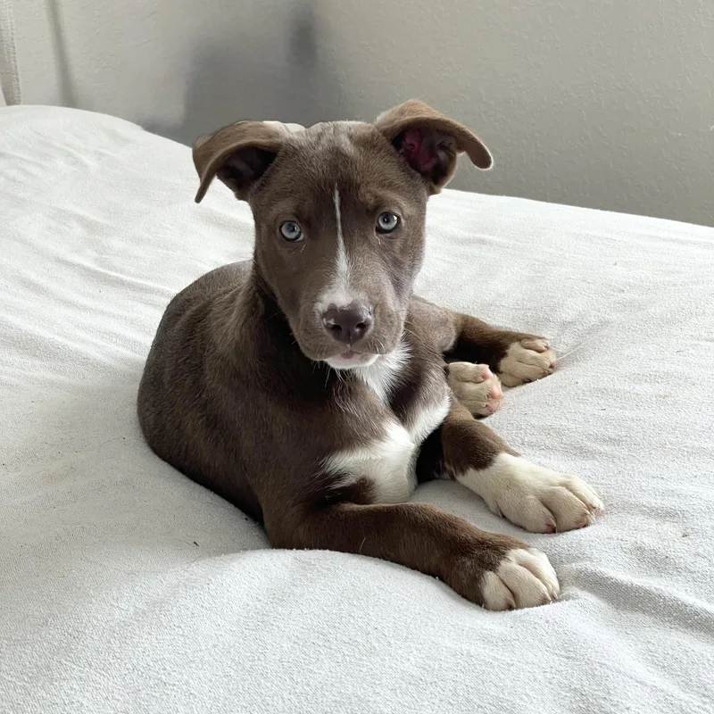 Gorgeous Gleason thumbnail 2