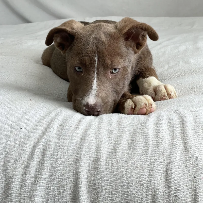 Gorgeous Gleason thumbnail 3