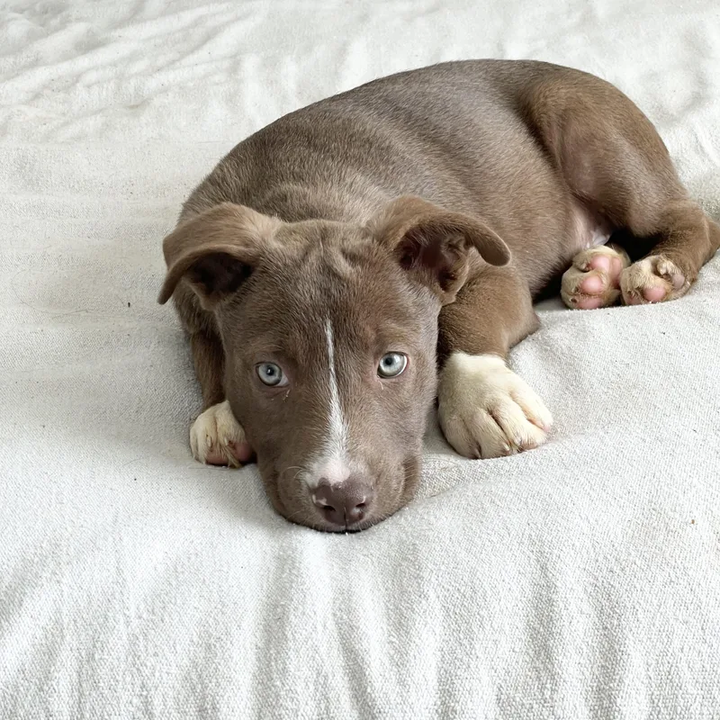 Gorgeous Gleason thumbnail 4