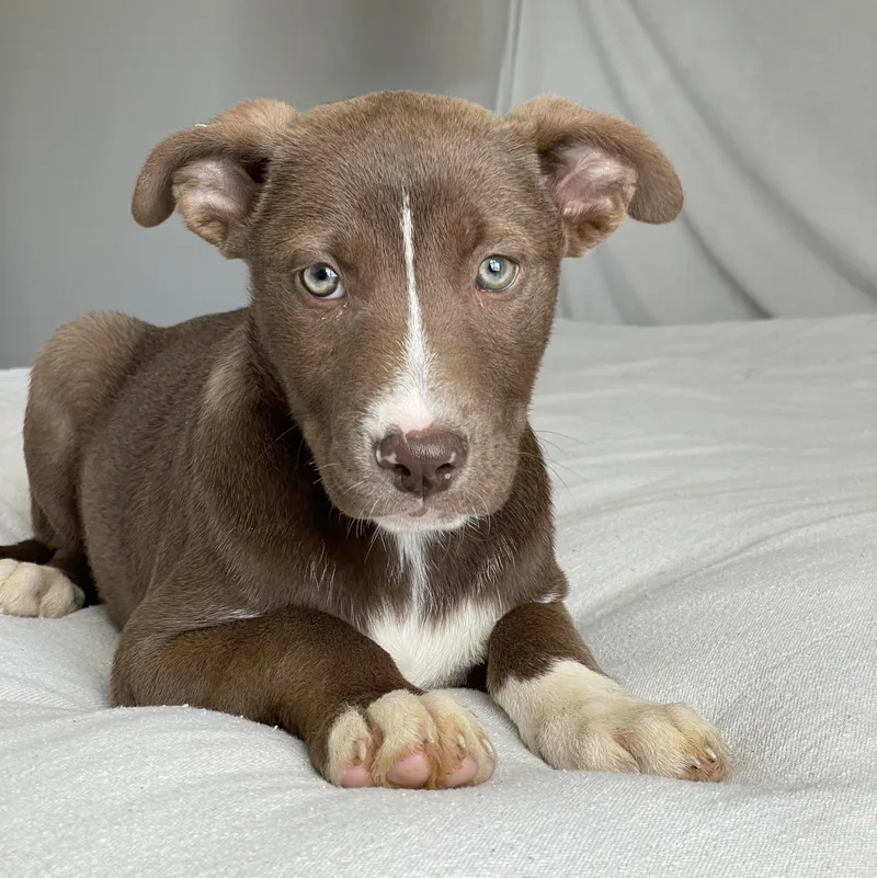 Gorgeous Gleason thumbnail 5